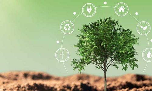 O Impacto das Tendências de Sustentabilidade no Mercado Atual